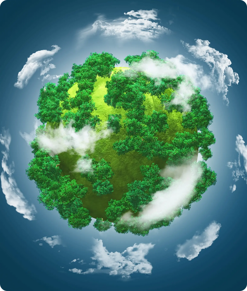 Good food should nourish both people and the planet