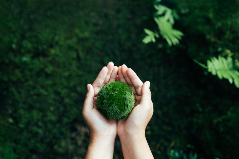 Good food should nourish both people and the planet