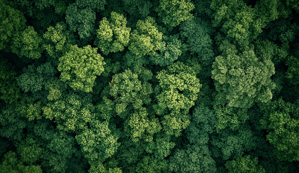 SUSTAINABILITY